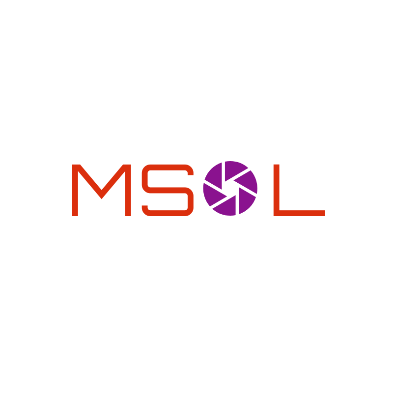 MSol Technologies Pvt. Ltd. logo