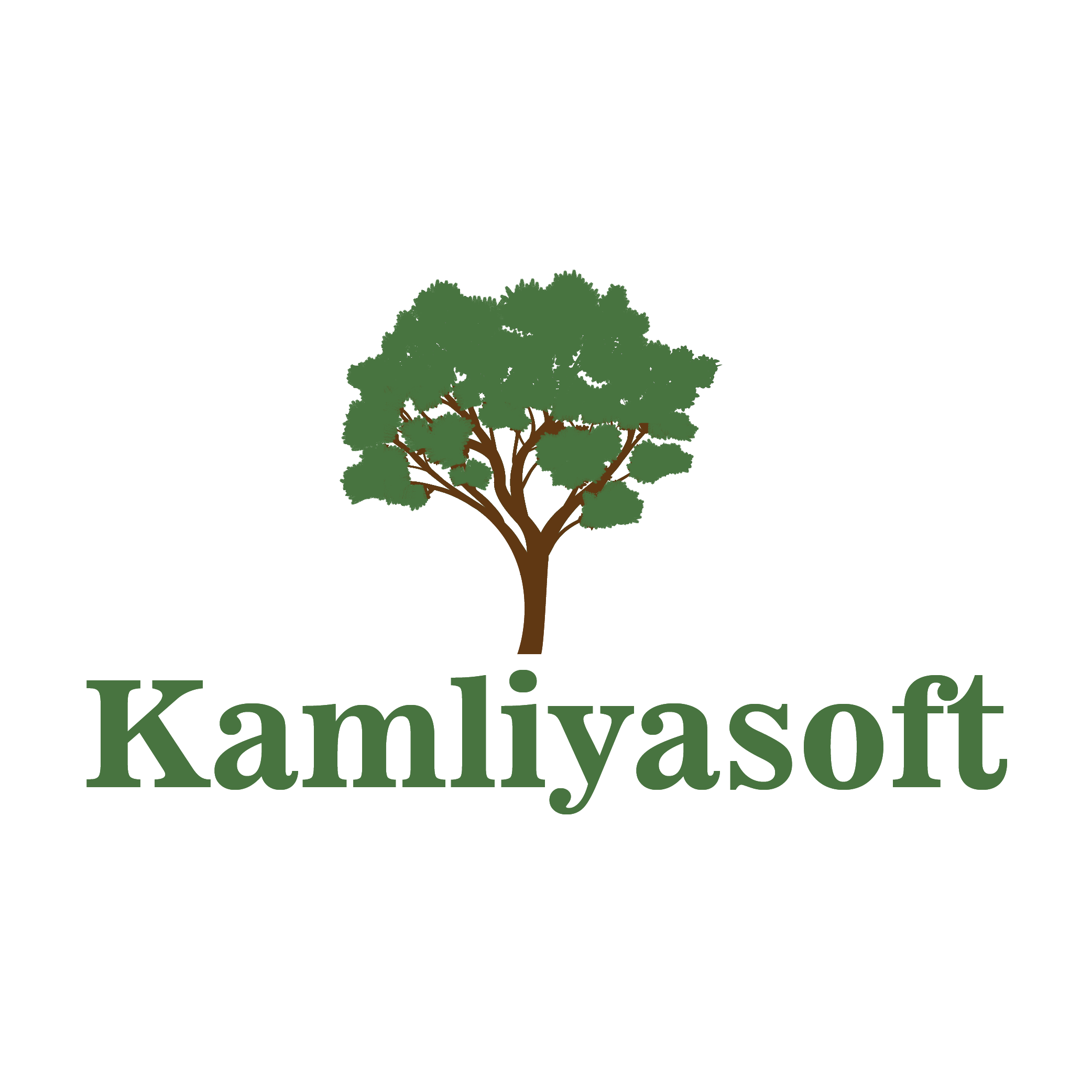 kamliyasoft services private limited