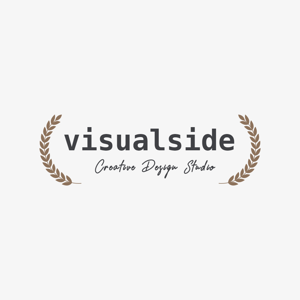 Visual Side LLC company logo
