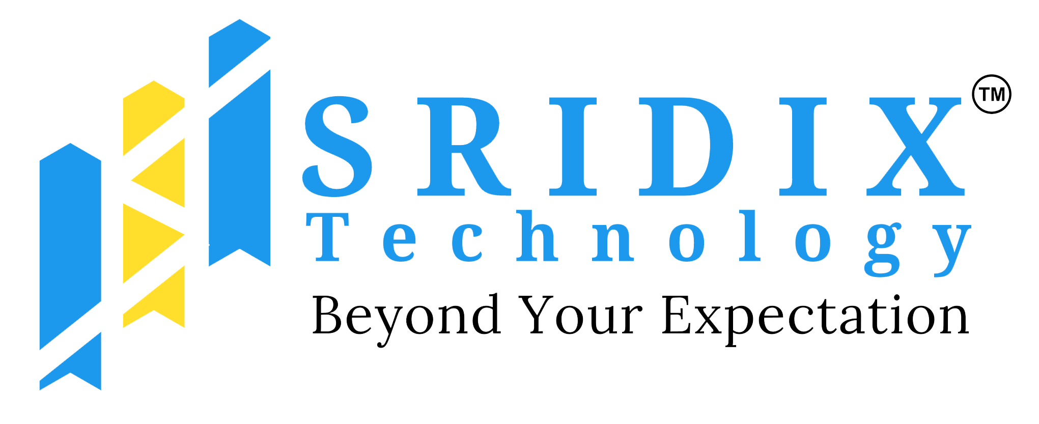 Sridix Technology company logo