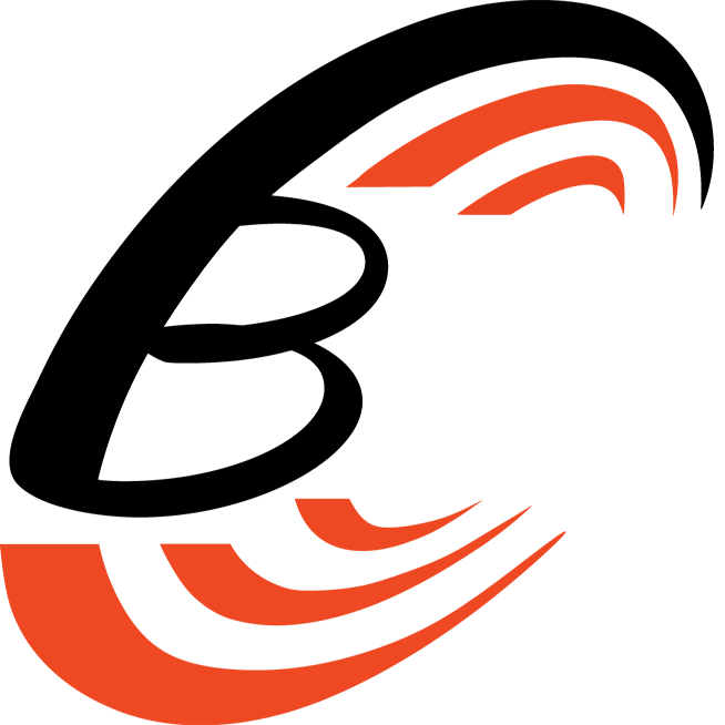 Brainstair Technology logo