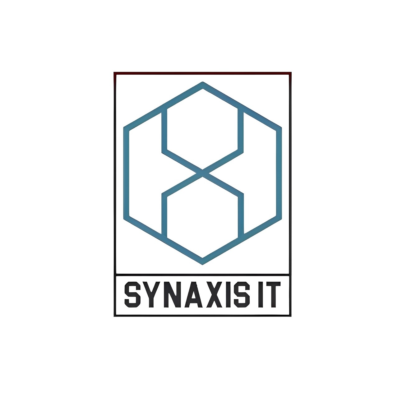 Synaxis Informatic Tech Solutions Pvt Ltd company logo