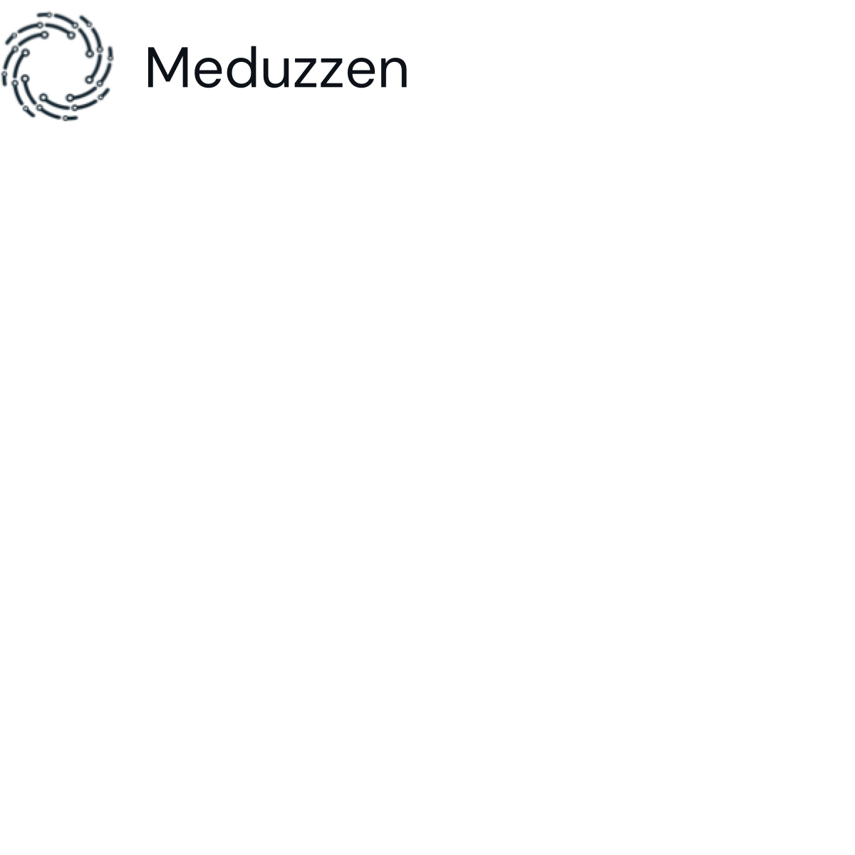 Meduzzen company logo
