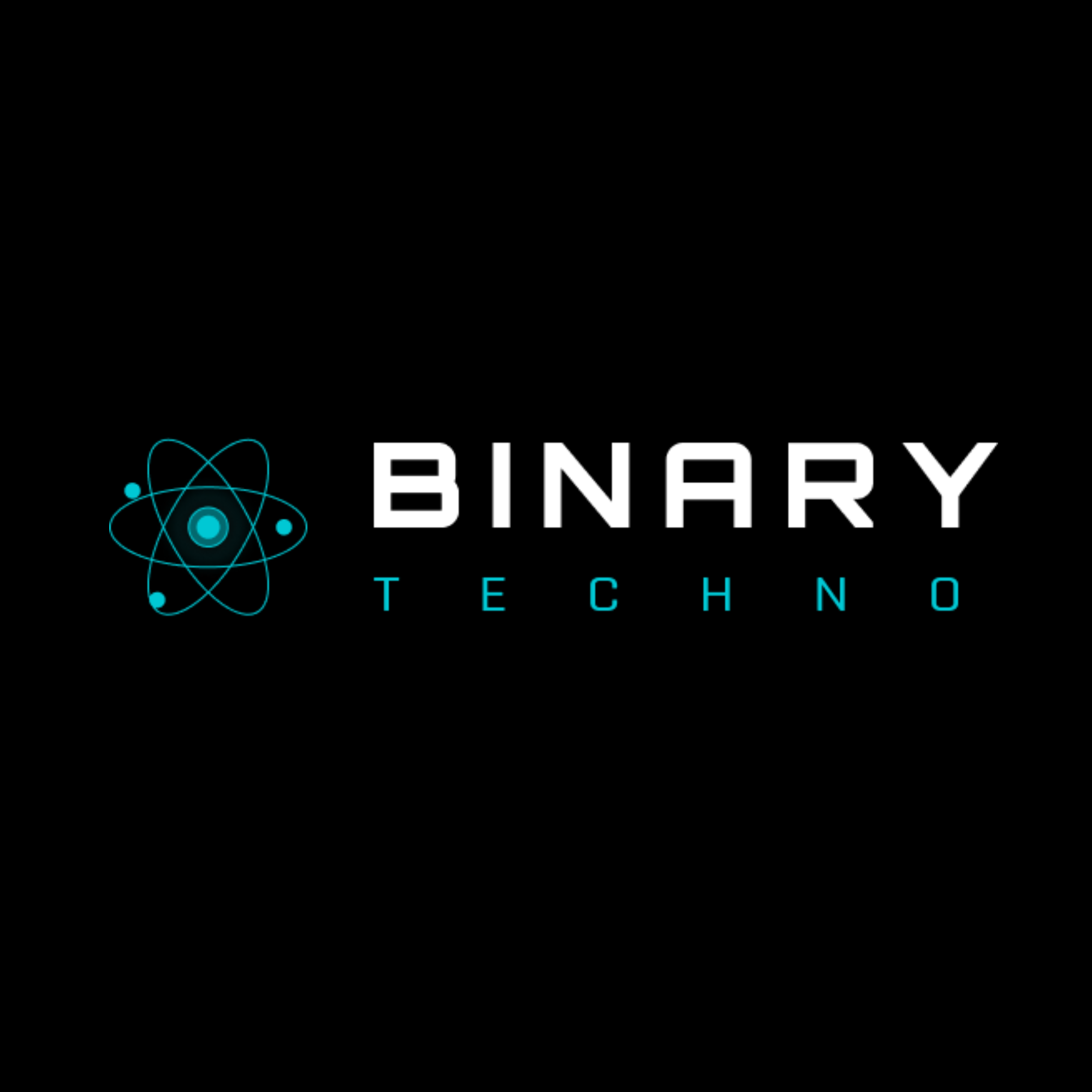 Binary Techno company logo