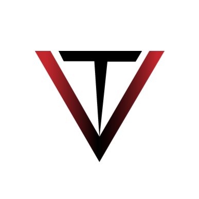 Techvizon Private Limited company logo