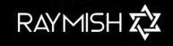 RayMish Technology Solutions company logo