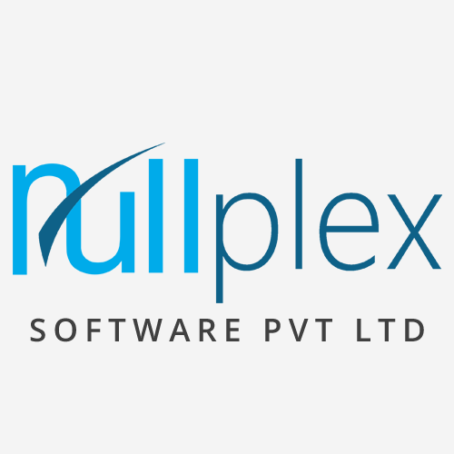 Nullplex Software PVT LTD company logo