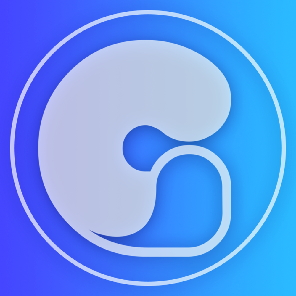 Gyizer Systems Private Limited logo