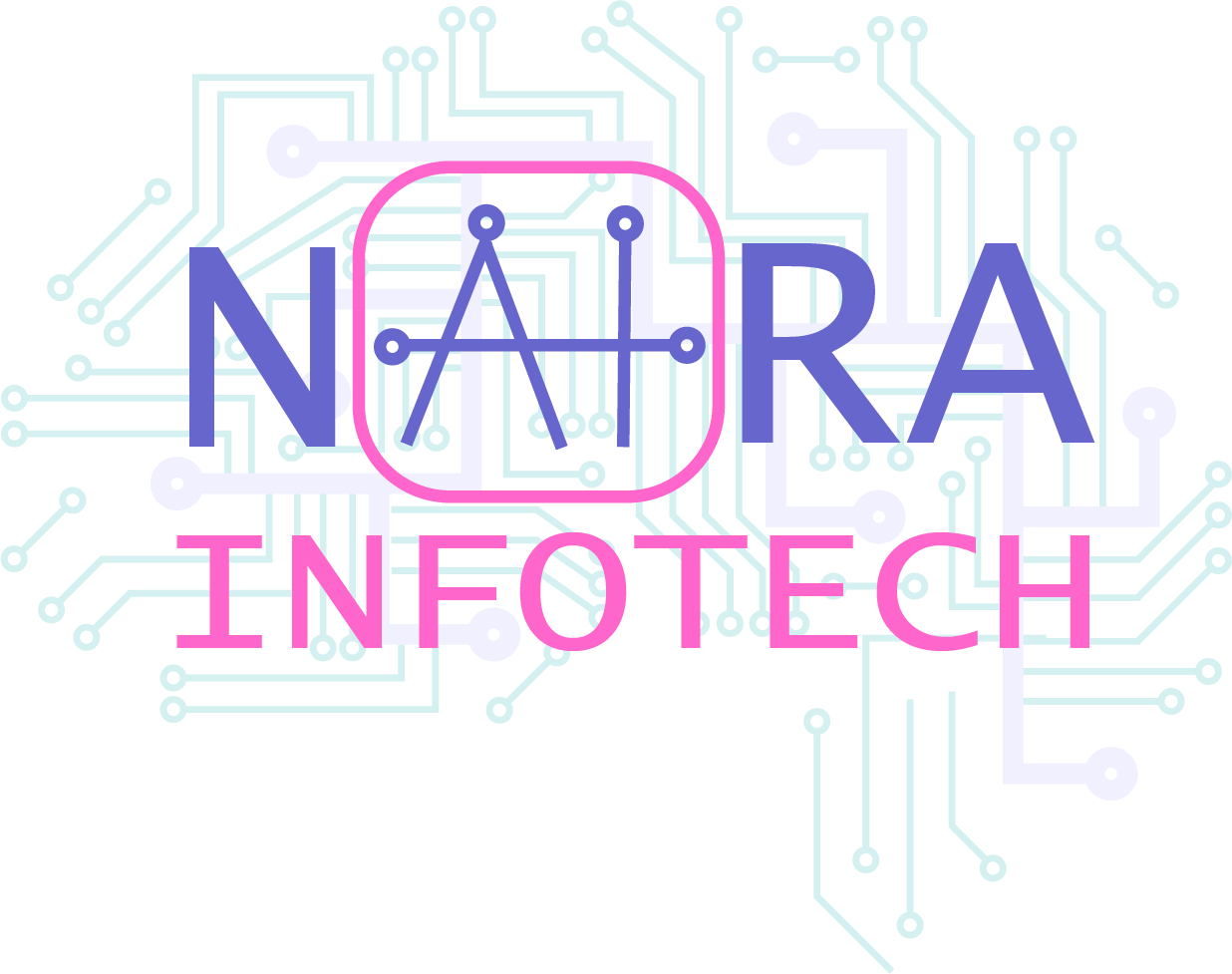 Naira Infotech