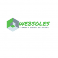 Websoles Strategic Digital Solutions logo