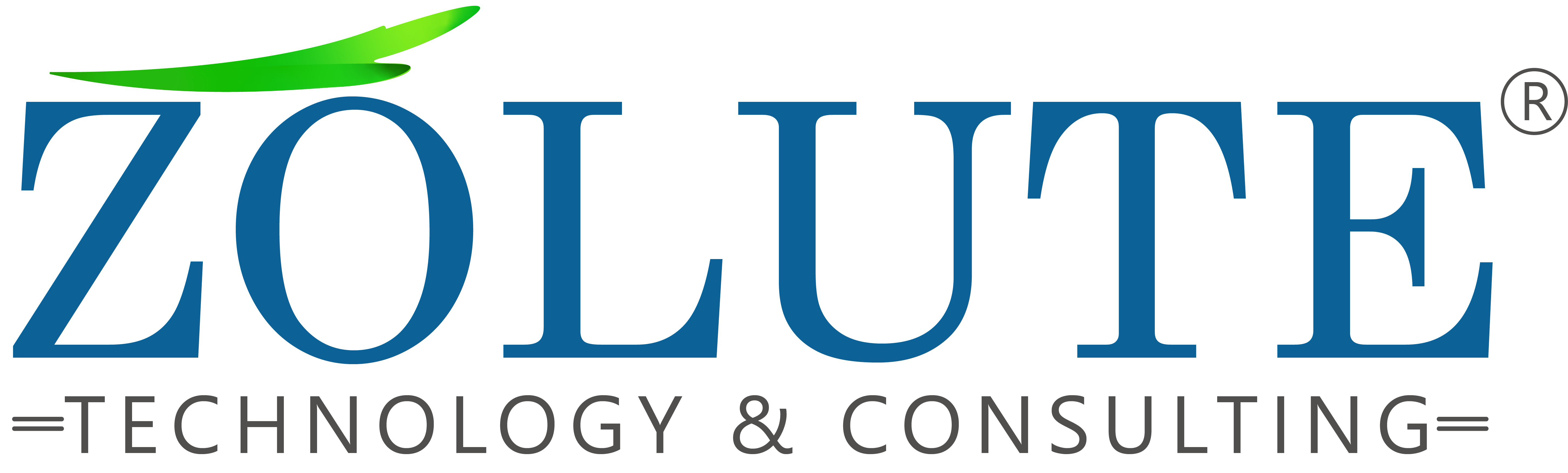 Zolute Technology and Consulting Pvt Ltd company logo