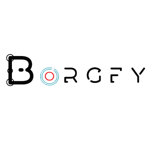 borgfy logo
