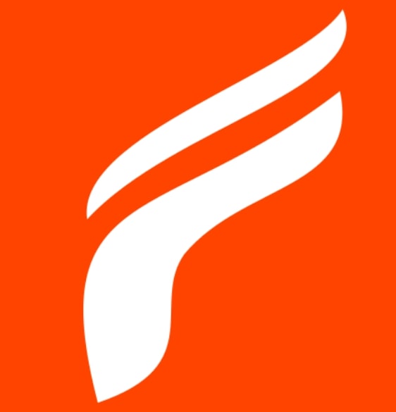 Fleek IT Company logo