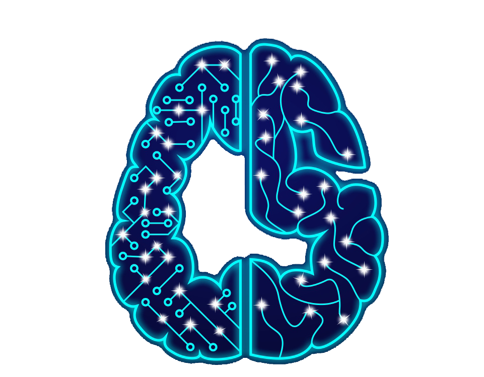 CyberSapiens United LLP logo