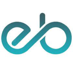 EitBiz - Software, Mobile App & Web Development Co logo