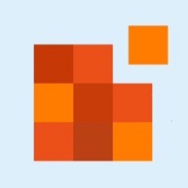 Best Remote Team logo