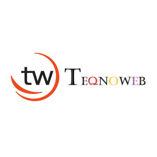 Teqnoweb IT Services company logo